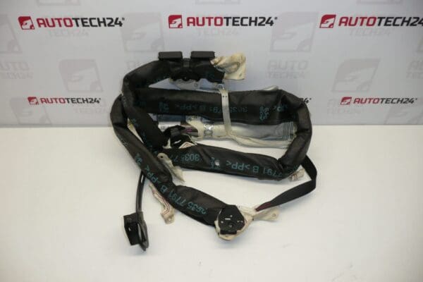 AIRBAG techo izquierdo Peugeot 206 5DV 8329ST