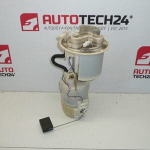 Bomba de gasolina Citroën Peugeot 77020-0H010 1507A1