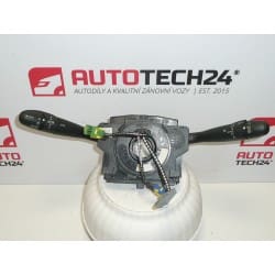 Conductores Peugeot206 307 96439232ZL