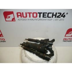 Kit inyección Bosch 2.0HDI 0445110062