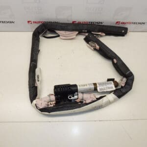 Airbag de techo izquierdo Citroën C4 Picasso 9654115280 8216QV