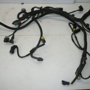 Arnés motor Peugeot 207 1.4i KFT 9674808180 9675247080