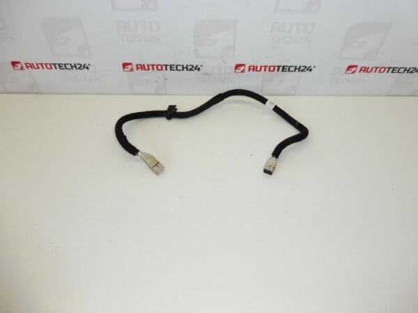 Cable pantalla Citroën Peugeot 9687260380 6574KZ