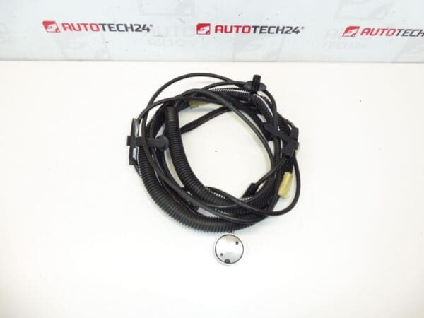 Cableado antena Citroën C3 Pluriel 964515948002 6561Q8