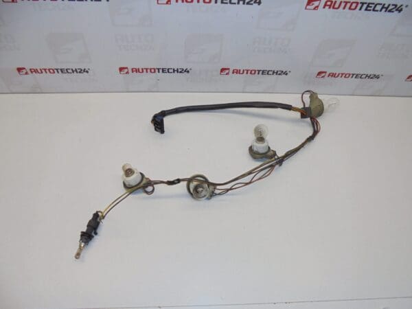 Cableado luz trasera izquierda y derecha Citroën C8 6534KJ