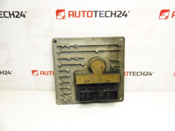 Centralita sensodrive Citroën Peugeot 9640922780 S120216002 A 2529J9