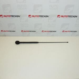 Juego de antenas Citroën C3 Pluriel 6561R7 656197