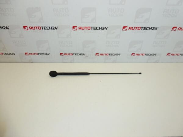 Juego de antenas Citroën C3 Pluriel 6561R7 656197