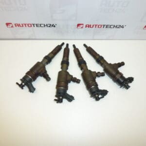 Kit inyección Bosch 1.4 HDI 0445110252 1980K2