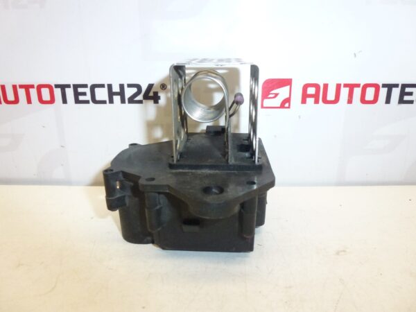 Sahara Resistencia Citroën Peugeot 9649247680 1308AN