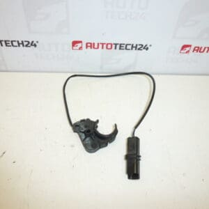 Sensor manilla puerta Peugeot 307 CC 9651269480 910946