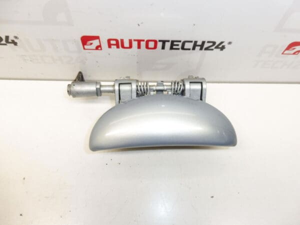 Tirador de puerta derecha trasera Peugeot 206 EYLC 9101N9