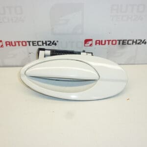 Tirador puerta trasera izquierda Citroën C5 I y II 9631831077 9101S7 blanco