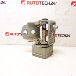 Tope bisagra puerta delantera izquierda Peugeot 207 23709080 9035T5