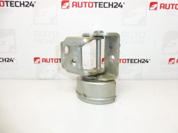 Tope bisagra puerta trasera derecha Peugeot 207 13089480 9037C0