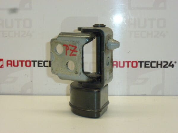 Tope bisagra puerta trasera derecha Peugeot 207 25109480 9037C0