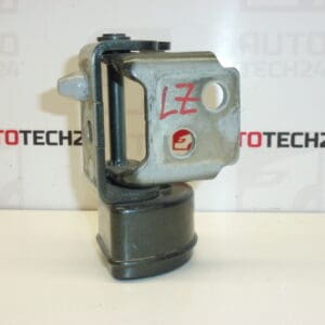 Tope bisagra puerta trasera izquierda Peugeot 207 25009580 9037C1