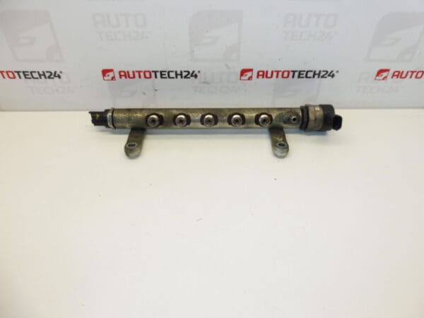 Riel carril Bosch Citroën Peugeot 0281002803 9656917280 9654748880 1570L3