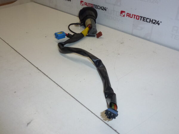 Caja interruptor + 1 llave Peugeot 206 4162Z1